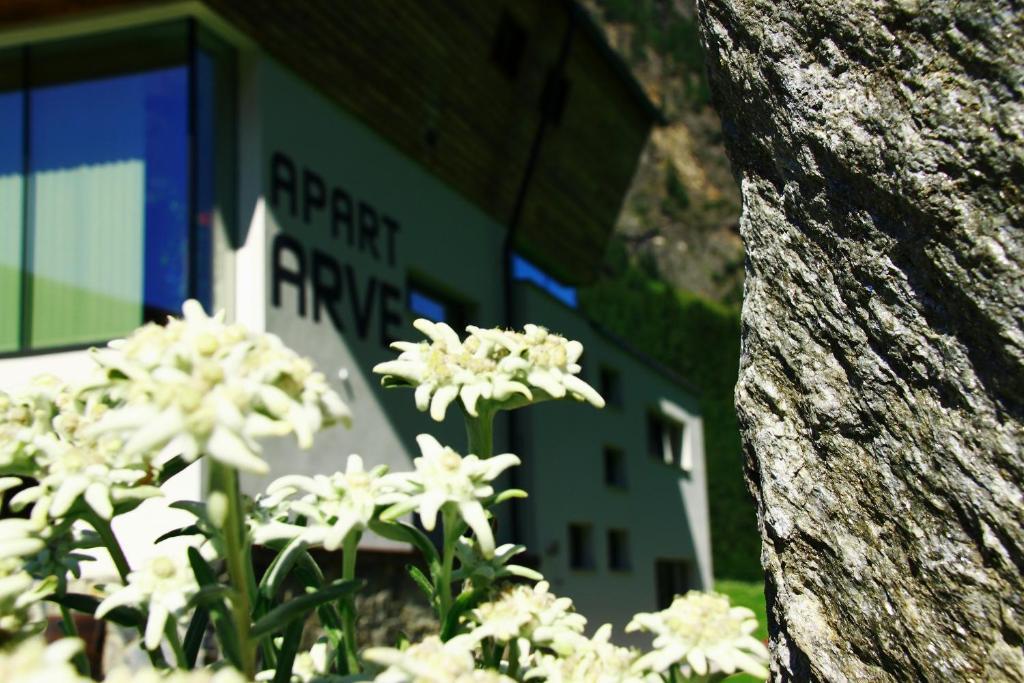 Apartment Arve *