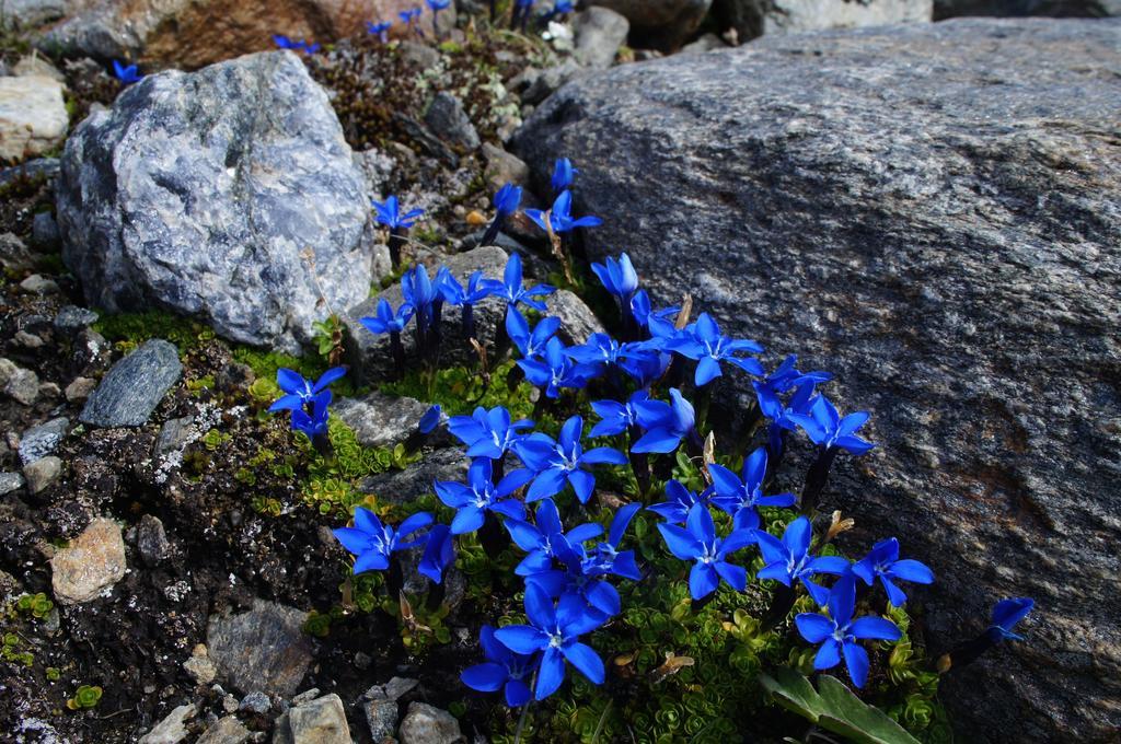 Arve Appartamento Sankt Leonhard im Pitztal